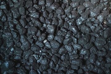 The Texture and Background of Coal: A Fossil Fuel for Industrial and Domestic Heating