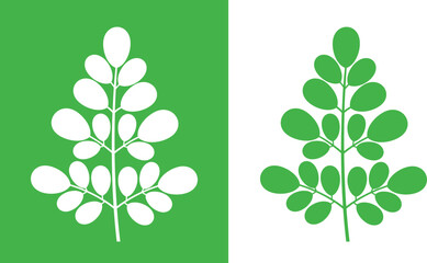 Moringa logo. Isolated moringa on white background