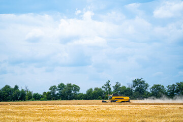 Yellow combine harvester works in field on sunny day