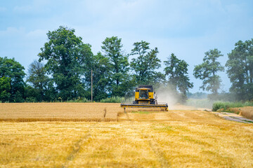 Yellow combine harvester working on wheat field