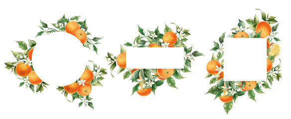 Fototapeta premium Orange fruit border frame set. Watercolor illustration isolated on transparent background. Blossom orange branch for labels, prints, banners, citrus wedding invitation