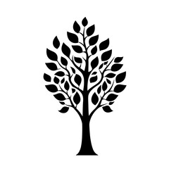 Obraz premium tree with leaves silhouette