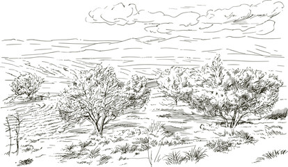 Rural landscape, hand drawn illustration - 728819609