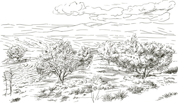 Rural landscape, hand drawn illustration