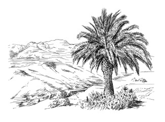 Landscape with palm trees, hand drawn illustration - 728819837