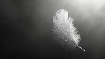 A minimalist composition of a single feather falling gracefully through the air, representing the delicate balance of nature and the passage of time.