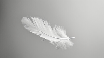 A minimalist composition of a single feather falling gracefully through the air, representing the delicate balance of nature and the passage of time.