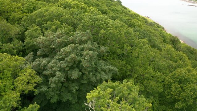 Forest to Estuary aerial pan and reveal The Great Mew Stone, Plymouth, UK