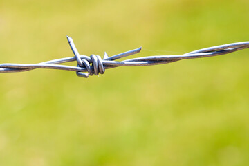 barbed wire over green blurred meadow with copy space