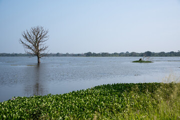 Landschaft in Sri Lanka