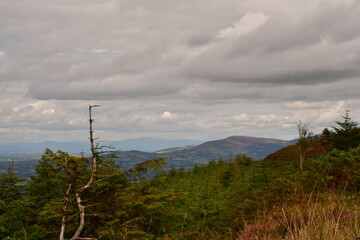 Obraz premium View from Brandon hill, County kilkenny, Ireland