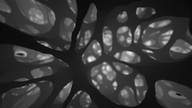 Macro journey through porous bone tissue, revealed in realistic 3D animation, mimicking advanced CT imaging or 3D ultrasound.