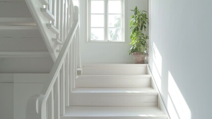  a white staircase with a potted plant on the top of it and a potted plant on the far end of the stair case, in front of the room.
