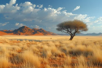 Foto auf Leinwand Panoramic landscape photo views over the kalahari region in South Africa © Tjeerd