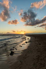 a hawaiian landscape 