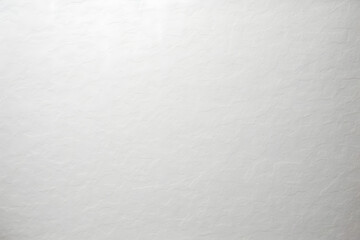 Vintage Elegance White Antique Paper Texture