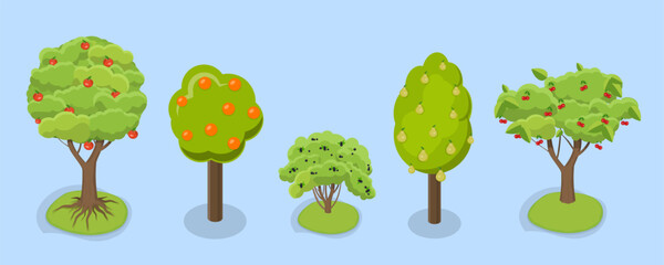 3D Isometric Flat Vector Set of Fruit Tree, Garden Plants Cultivation