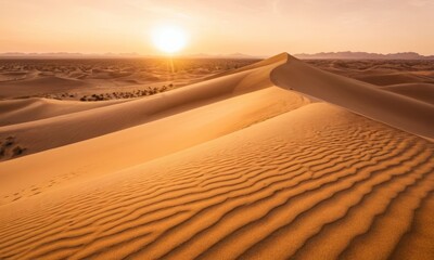 Fototapeta na wymiar Golden sunset over a serene desert landscape