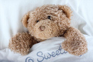 Teddy Bear sleeps in bed under a soft blanket