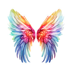 Fototapeta na wymiar Rainbow wings waatercolor. Vector illustration design.