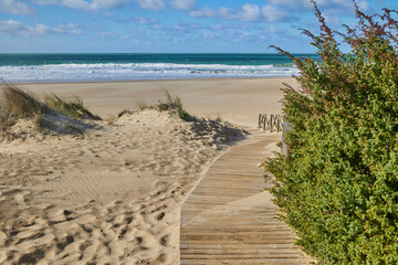 Wooden path to the sea through sand dunes overgrown with bushes