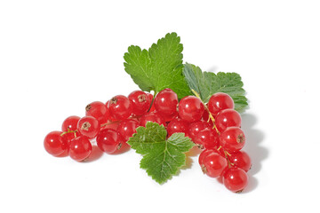 Red currant berries with leaf isolated on white background. - 728854469