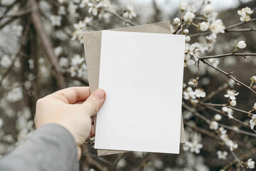 Woman's hand holding vertical blank greeting, invitation card. White blooming cherry plum trees,...