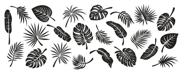 Tropical Leaf Silhouettes. Flat Vector Black and White Cutout Style Monstera, Ficus, Banana Leaf, Dracaena, Sabal Palm Leaves Collecton, Isolated. Design Templates for Home Decor, Invitations, Prints © gomolach