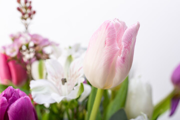 close up of a bunch of flowers desaturated colors tulips ins tudio white background