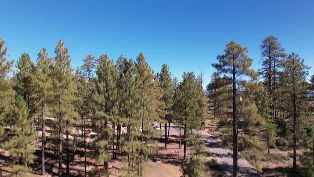 Beautiful Brice National park