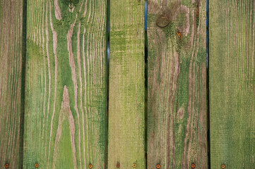 Textured natural background of wooden board in green. Place for your text...
