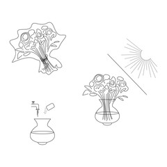 Instructions for caring for a bouquet of flowers vector illustration design isolated