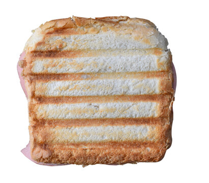 Pressed and toasted sandwich with ham on white background. 