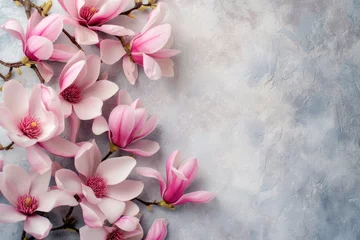Gardinen Pink magnolia flowers on stone textured background Top view flat lay copy space Simple spring floral concept © The Big L
