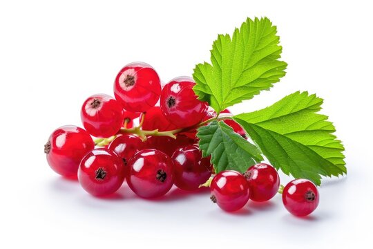 Ripe red currant berries with leaf isolated on white background