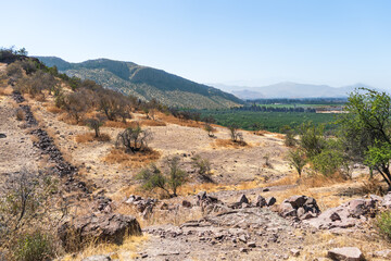 Green trees plantation view from a yellow desertical mountain in SAntiago, Chile. Trekking path with a road of stone 