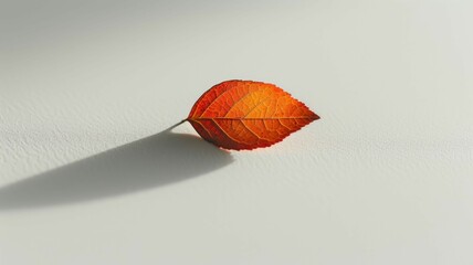 soft-focus image of a small, warm-toned autumn leaf, centered on a pure white surface, draws attention to its unique beauty