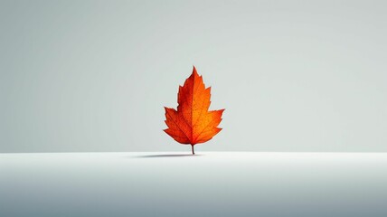 singular beauty of a small, warm-toned autumn leaf is captured in a soft-focus image, centered on a pure white surface