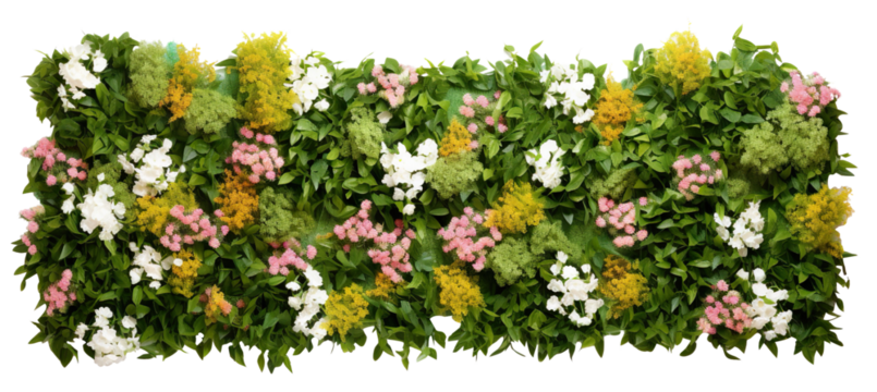 Green garden wall from tropical plants and flowers, cut out