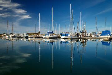 Calm Masts with sailboats docked in a harbor on calm water with blue sky - 728873430
