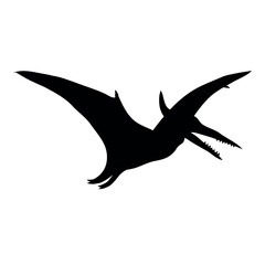 Vector flat hand drawn pterodactyl dinosaur silhouette isolated on white background