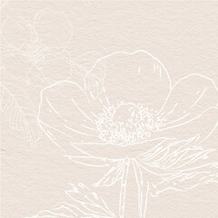Anemone Flowers Delicate watercolor botanical digital paper - 728875601
