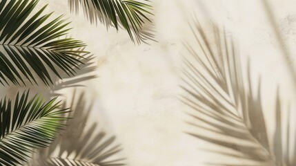 Fototapeta premium Mock up with natural soft shadow from palm leaves for product presentation or showcase on beige textured stone background