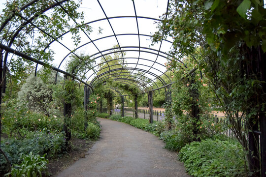 Camino con pasarela rodeado de flores y plantas