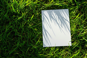 Blank white paper on green grass
