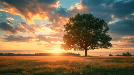 Foto auf Acrylglas Antireflex tree landscape with sunset in the background generative ai © Kelly