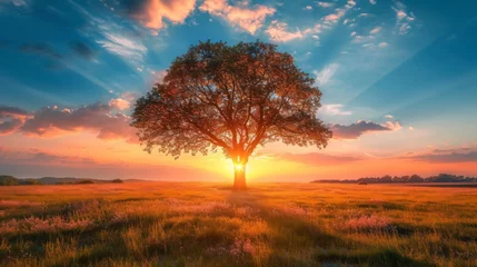 Foto op Canvas tree landscape with sunset in the background generative ai © Kelly