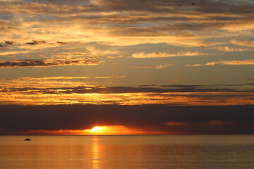 Naklejka premium sunset at the beach