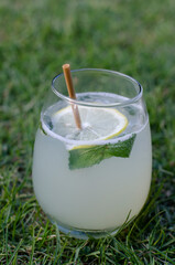 glass of lemonade with a sorbet and mint leaf on the grass