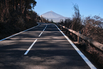 Road going up to Teide volcano through burned forest from La Orotava. Landscape with road in pine...